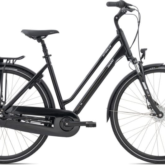 Giant Attend CS 1 Dame 2023 - Sort